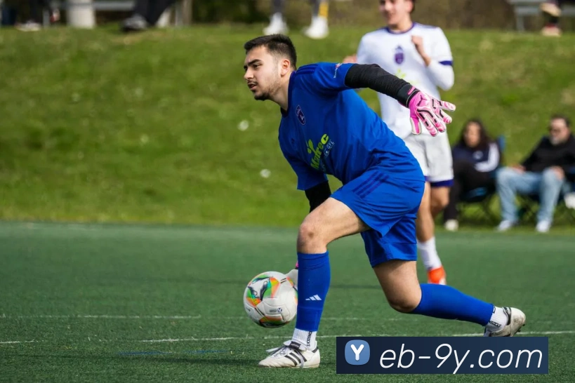 九游官网平台生态图